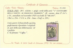 Clicca per ingrandire